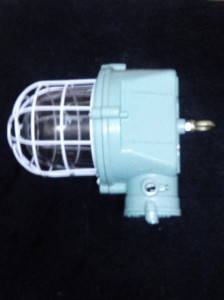 125W HPMV-HPSV WELLGLASS