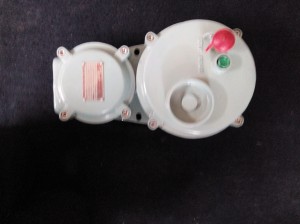 DOL STARTER