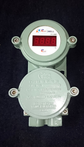 FLWP Temperature Indicator