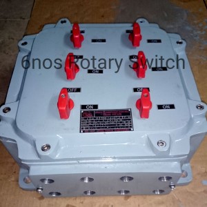 6 NOS ROTARY SWITCH