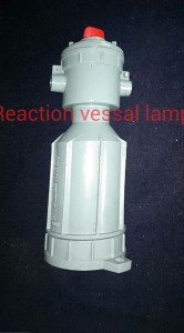 Reaction Vessel Lamp
